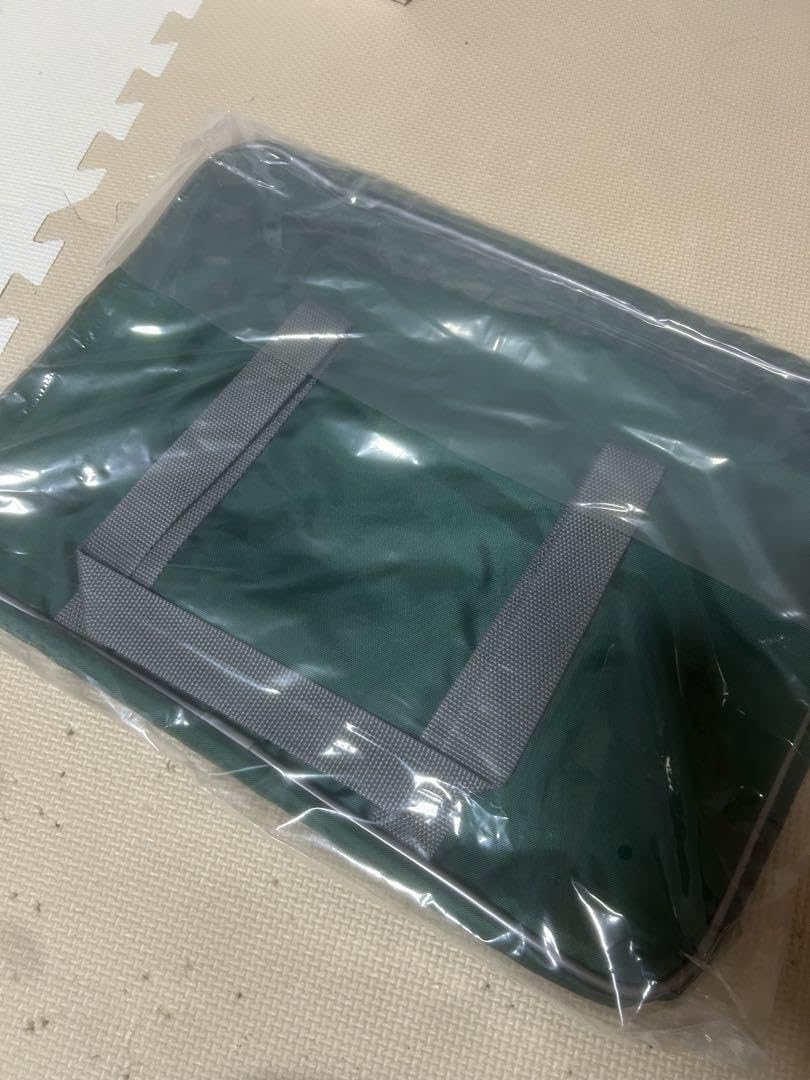 Amazon.co.jp: 旧ワッペ 緑 グリーン ワールドペガサス スクール